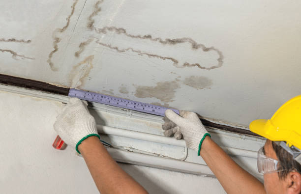 Reliable Emergency Water Damage contractor in New Hudson, MI by Local Water Damage Repair